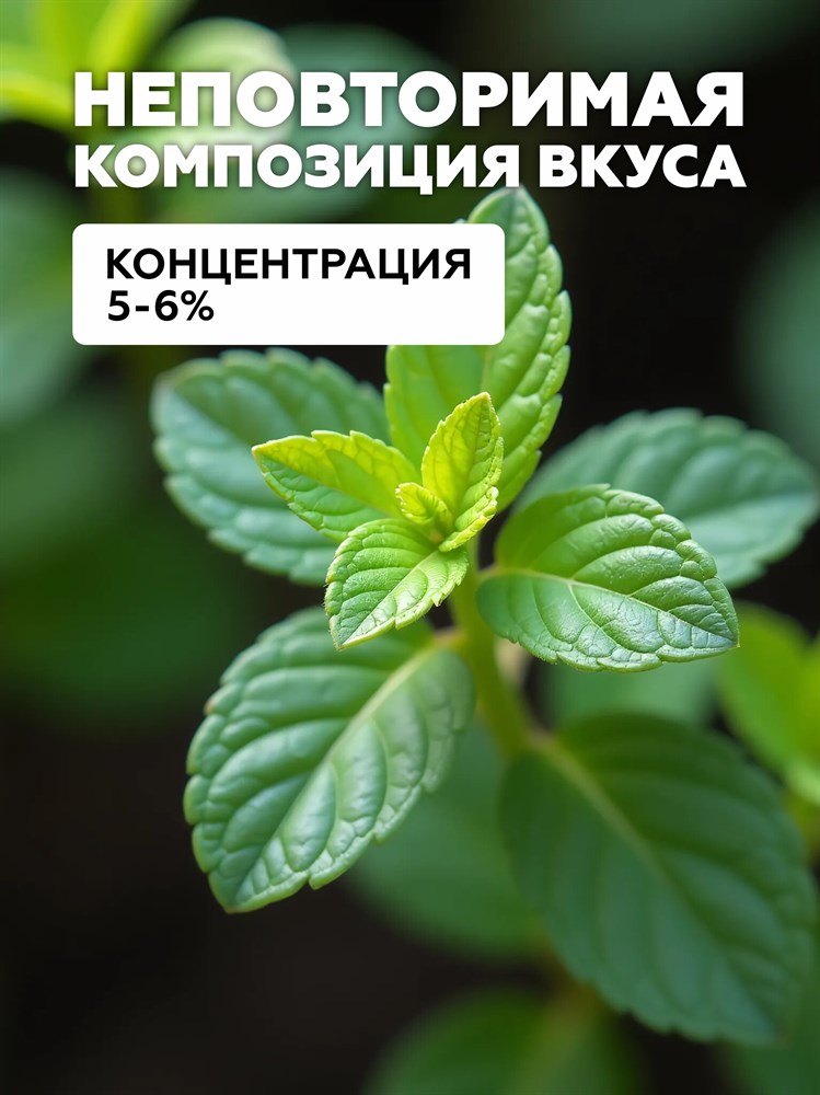 Ароматизатор DARK X SIZE XL - "Мята" (MAX) ulk2t-iMgUjsLBa1tTBV40 - фото 11234 Ароматизатор DARK X SIZE XL - "Мята" (MAX) ulk2t-iMgUjsLBa1tTBV40 - фото 11234