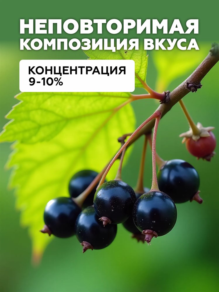 Ароматизатор DARK X SIZE XL - "Черная Смородина" (MAX) z7uq2dQaht8Ngj5L-SMC00 - фото 11283 Ароматизатор DARK X SIZE XL - "Черная Смородина" (MAX) z7uq2dQaht8Ngj5L-SMC00 - фото 11283