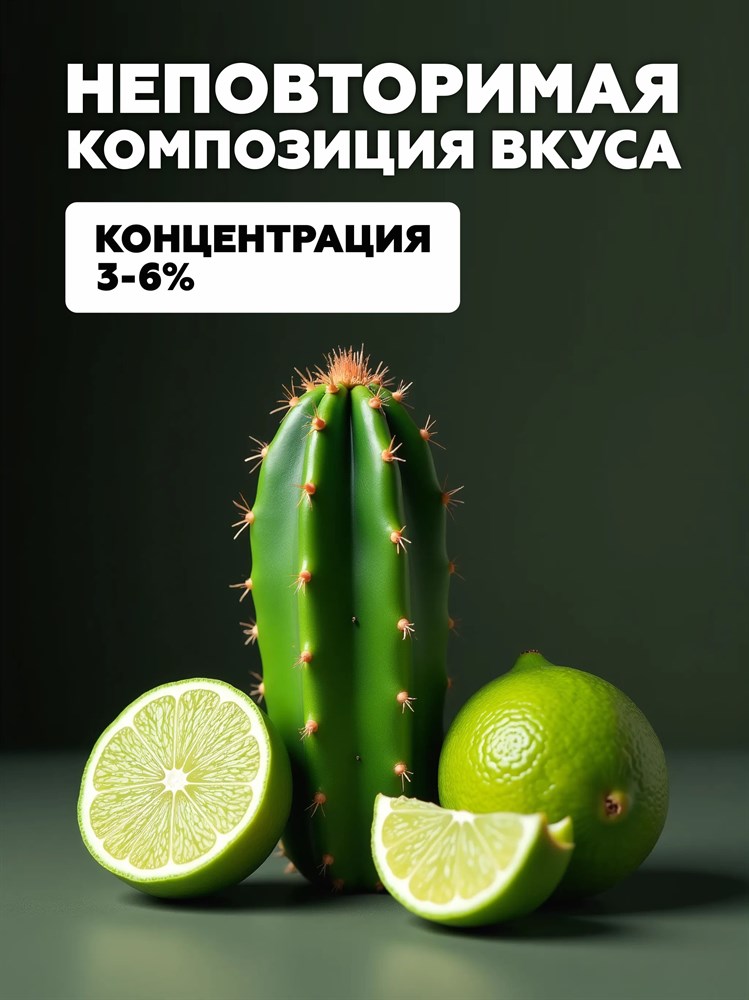 Ароматизатор DARK X SIZE SOLO 10мл - Кактус с лаймом rIzP7rZPgm5xGQcJ3xlRs2 - фото 11610 Ароматизатор DARK X SIZE SOLO 10мл - Кактус с лаймом rIzP7rZPgm5xGQcJ3xlRs2 - фото 11610