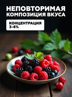 Ароматизатор DARK X SIZE SOLO 10мл - Лесные ягоды BRAoCzCLiYHScks1hRT8k3