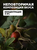 Ароматизатор DARK X SIZE SOLO 10мл - Шиповник N40yjfd8iQfKI2EMSuyxR1