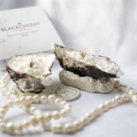 Свечи ароматические BLACK CHERRY AROMA (Набор 2 шт) 34icv2UBgmoX2NJIoqWUB3