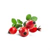 Ароматизатор DARK X SIZE SOLO 10мл - Шиповник N40yjfd8iQfKI2EMSuyxR1 - фото 10210